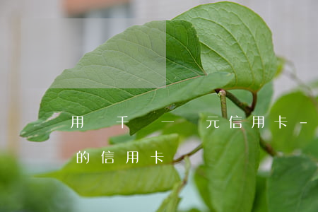 用兩千還一萬元信用卡-用2000還2萬的信用卡