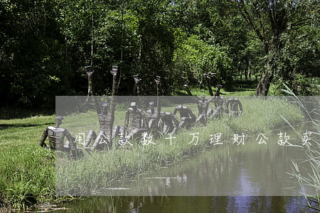 用公款数千万理财(公款买理财 只要及时还上)