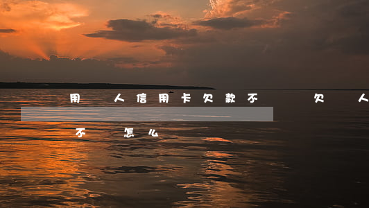 用別人信用卡欠款不還錢(欠別人信用卡的錢不還怎么辦)