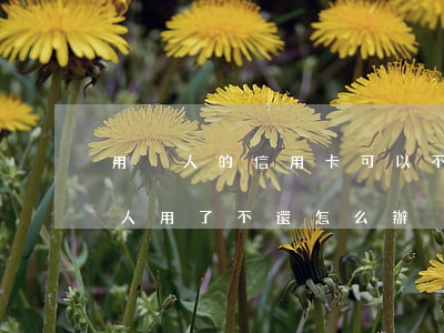 用別人的信用卡可以不還嗎(自己的信用卡別人用了不還怎么辦)
