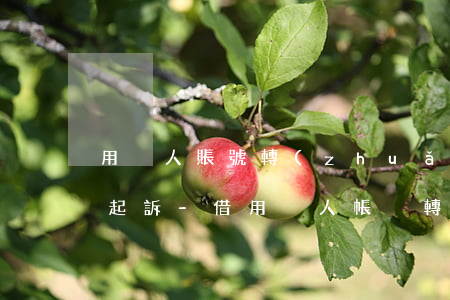 用別人賬號轉(zhuǎn)賬借錢給別人起訴-借用別人帳戶轉(zhuǎn)賬收款后不給錢能從公安局報案嗎