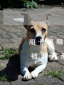 用卡逾期一天有沒有關系（信用卡逾期一天會被追究刑事責任）