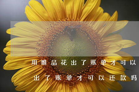 用唯品花出了账单才可以还款吗-用唯品花出了账单才可以还款吗是真的吗