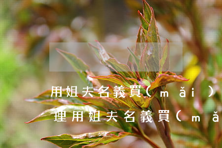 用姐夫名義買(mǎi)的房子離婚怎么處理(用姐夫名義買(mǎi)的房子離婚怎么處理)