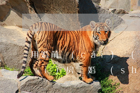 用婚前財(cái)產(chǎn)買(mǎi)房離婚時(shí)如何分割(在結(jié)婚之前買(mǎi)房后,離婚后財(cái)產(chǎn)怎么分)