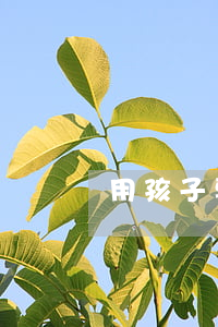 用孩子要挟离婚怎么办