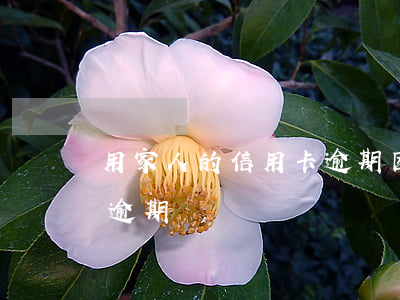 用家人的信用卡逾期(因家庭困難導致信用卡逾期)
