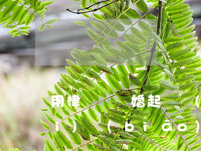 用律師寫離婚起訴書(shū)收費(fèi)標(biāo)準(zhǔn)(離婚起訴律師費(fèi)一般是多少錢啊)