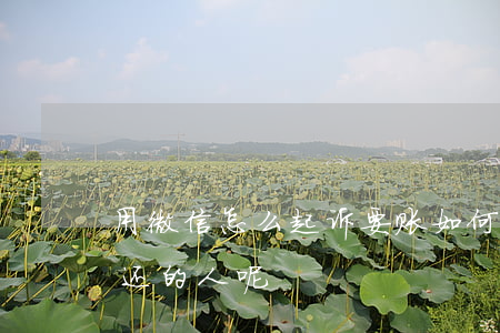用微信怎么起诉要账(如何在微信起诉借钱不还的人呢)