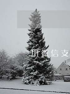 用微信支付能透支信用卡嗎
