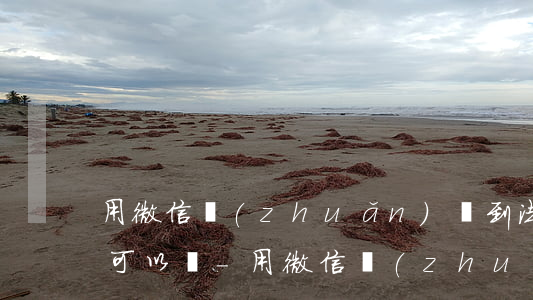 用微信轉(zhuǎn)賬到法院起訴期間可以嗎-用微信轉(zhuǎn)賬到法院起訴期間可以嗎安全嗎