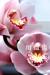 用微信轉(zhuǎn)賬可以起訴嗎 用微信轉(zhuǎn)賬可以起訴嗎法院