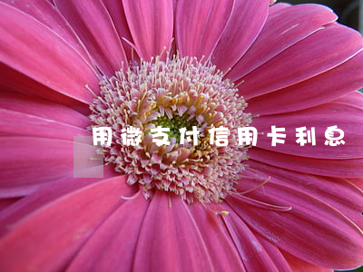 用微支付信用卡利息嗎