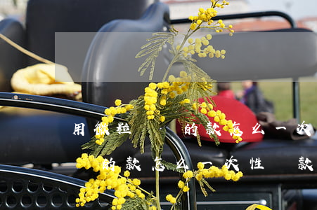 用微粒貸貸的款怎么一次性還款-用微粒貸貸的款怎么一次性還款啊
