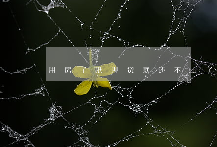 用房子抵押贷款还不上了怎么办
