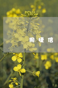 用捷信貸款怎么樣(捷信怎么貸款的)