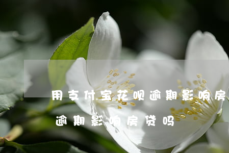 用支付宝花呗逾期影响房贷-用支付宝花呗逾期影响房贷吗