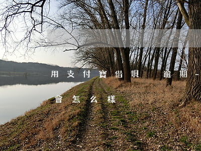 用支付寶借唄沒逾期-用支付寶借唄沒逾期會怎么樣