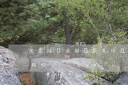 用支付寶逾期還款(支付寶把逾期的還完未逾期的)