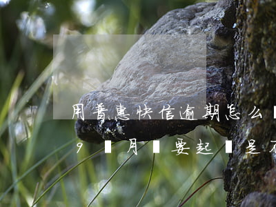 用普惠快信逾期怎么辦-普惠快信逾期了29個月說要起訴是不是真的