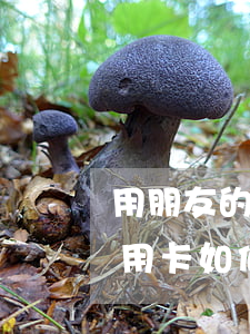 用朋友的信用卡逾期了怎么辦(逾期以后的信用卡如何才可以正常使用)
