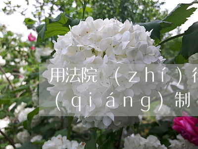 用法院執(zhí)行單可以貸款嗎(法院強(qiáng)制執(zhí)行已經(jīng)結(jié)案可以貸款嗎?)