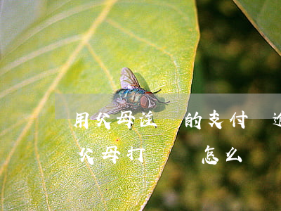 用父母注冊的支付寶逾期了(支付寶逾期給我父母打電話怎么辦)
