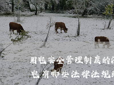 用电安全管理制度的法律法规(企业安全用电有哪些法律法规或者条例规定)