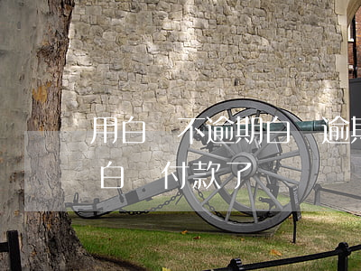 用白條不逾期(白條逾期過后,好多東西不能用白條付款了)