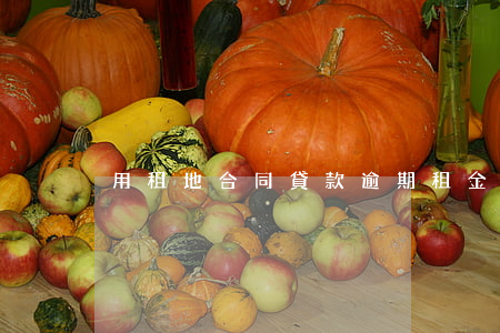 用租地合同貸款逾期(租金貸逾期)
