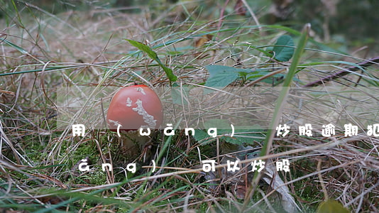 用網(wǎng)貸炒股逾期犯罪嗎(網(wǎng)貸可以炒股嗎)