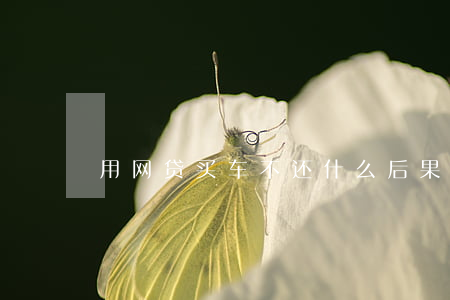 用网贷买车不还什么后果