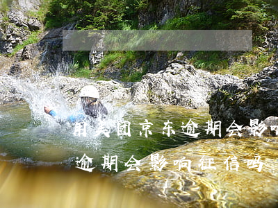 用美团京东逾期会影响征信吗-用美团京东逾期会影响征信吗
