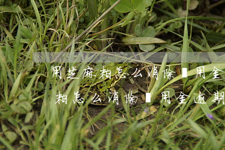 用芝麻粒怎么消除備用金逾期記錄-用芝麻粒怎么消除備用金逾期記錄呢