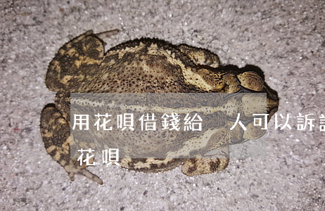 用花唄借錢給別人可以訴訟嗎(別人借自己的花唄)
