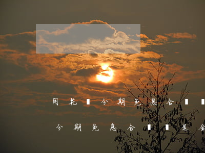 用花唄分期免息合適還是全款合適-用花唄分期免息合適還是全款合適呢