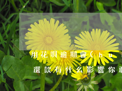 用花唄逾期會(huì)影響什么(花唄逾期還款有什么影響?你敢不還款嗎)