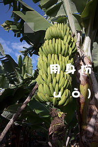 用身份證可以查到訴訟案件嗎(法院通過(guò)身份證號(hào)能查什么)