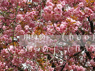 用身份證號(hào)查地址(什么軟件可以用身份證號(hào)查地址)