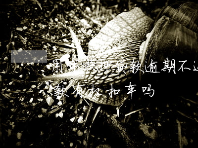 用车抵押贷款逾期不还(车子抵押贷款逾期还款有权扣车吗)