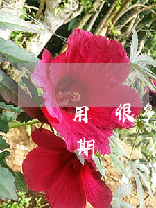 用過很多網(wǎng)貸沒有逾期(我沒逾期過為什么我貸不到網(wǎng)貸)