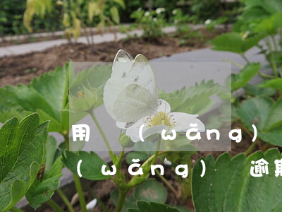 用過網(wǎng)貸但沒逾期查征信(我網(wǎng)貸逾期但是征信查不到)