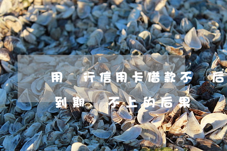用銀行信用卡借款不還后果(借銀行信用卡錢到期還不上的后果)
