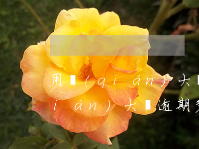 用錢(qián)大師逾期多久爆(用錢(qián)大師逾期多久爆)