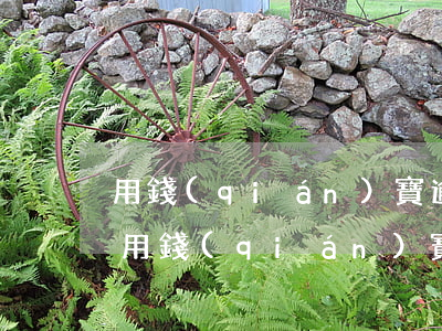 用錢(qián)寶逾期一年未還款(17年用錢(qián)寶逾期到2019年12月要不要還)