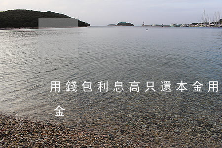用錢包利息高只還本金(用錢包利息高只還本金)