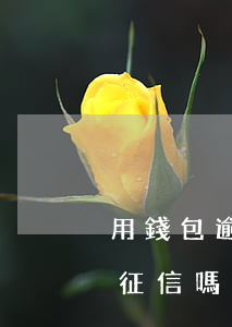 用錢包逾期會怎么樣 vⅰv0錢包逾期會上征信嗎