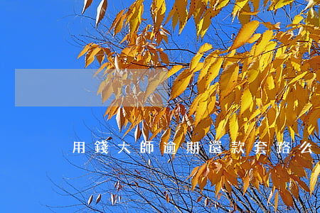 用錢大師逾期還款套路么
