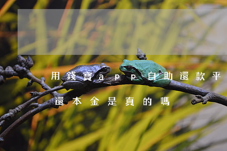 用錢寶app自助還款平臺靠譜嗎-用錢寶還本金是真的嗎