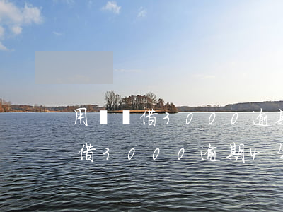 用錢寶借3000逾期4年被仲裁-用錢寶借3000逾期4年被仲裁會(huì)怎樣